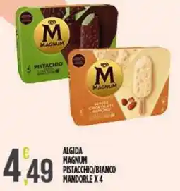 Netto Supermercati Algida Magnum Pistacchio/Bianco Mandorle offerta