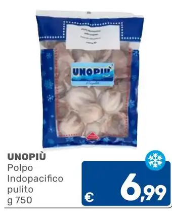 Polpo Indopacifico pulito UNOPIÙ