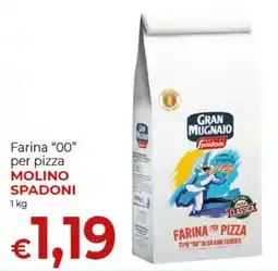 Maxi Nonna Isa Farina per pizza Molino Spadoni offerta