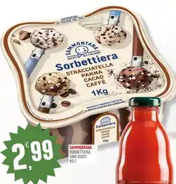 Marketpiù Sammontana Sorbettiera offerta