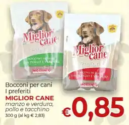 Maxi Nonna Isa Bocconi per cani Miglior cane offerta