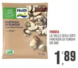 Marketpiù Frosta Fantasia di funghi con funghi porcini offerta