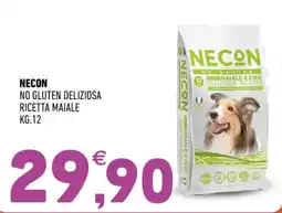 Ayoka Necon no glutene ricetta maiale offerta