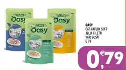 Ayoka Oasy cat natury soft jelly filetti offerta