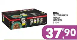 Ayoka Sheba selezione delicata offerta