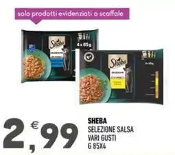 Ayoka Sheba selezione salsa offerta