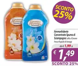 DiMeglio Ammorbidente Concentrato Spuma di Sciampagna offerta