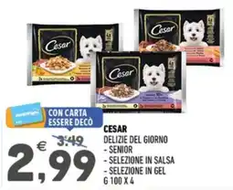 Ayoka Cesar Delizie del giorno offerta