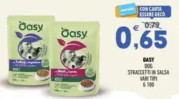 Ayoka Oasy dog straccetti in salsa offerta