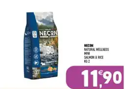 Ayoka NECON Natural Wellness Mini Salmon & Rice offerta