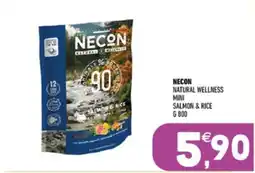 Ayoka NECON Natural Wellness Mini Salmon & Rice offerta