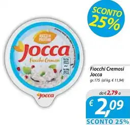 DiMeglio Fiocchi Cremosi Jocca offerta