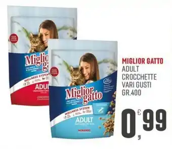Miglior gatto Adult