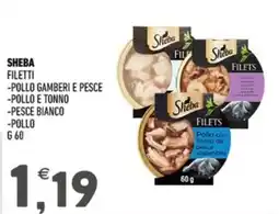 Ayoka Sheba filetti offerta