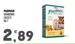 Ayoka Padovan grandmix criceti offerta
