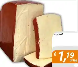 DiMeglio Fontal offerta
