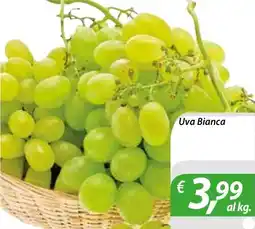 DiMeglio Uva Bianca offerta
