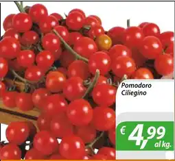 DiMeglio Pomodoro Ciliegino offerta