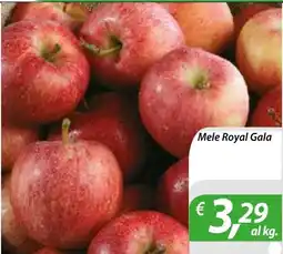 DiMeglio Mele Royal Gala offerta