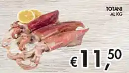 Maxi Coal Totani offerta