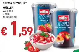 Coal Crema di yogurt Müller offerta