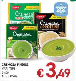 Coal Cremosa Findus offerta