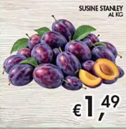 Maxi Coal Susine Stanley offerta