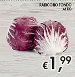 Maxi Coal Radicchio Tondo offerta