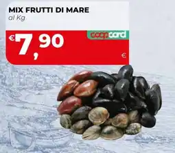 Coop Master Alleanza 3.0 Mix frutti di mare offerta