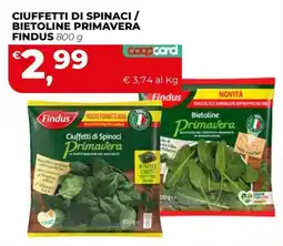 Coop Master Alleanza 3.0 Ciuffetti di Spinaci Primavera Findus offerta