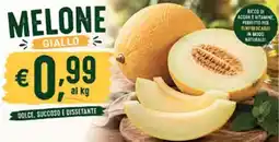 Coal Melone giallo offerta