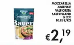 Maxi Coal Mozzarella julienne Bayer offerta