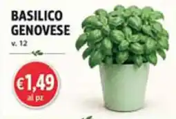 Coal Basilico Genovese offerta