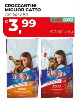 Coop Master Alleanza 3.0 Croccantini Miglior Gatto offerta