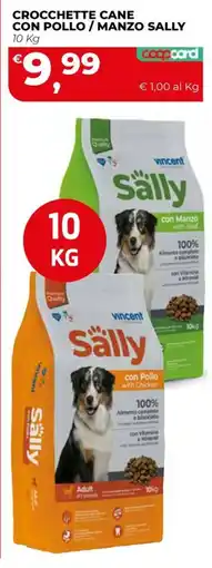 Coop Master Alleanza 3.0 Crocchette cane con pollo / manzo Sally offerta