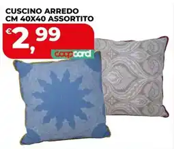 Coop Master Alleanza 3.0 Cuscino arredo assortito offerta