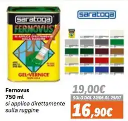 Orizzonte Fernovus Saratoga offerta
