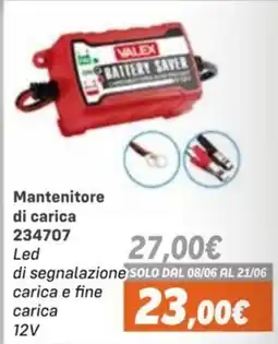 Orizzonte Mantenitore di carica Valex offerta