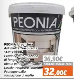Orizzonte PEONIA Idropittura Antimuffa Traspirante offerta
