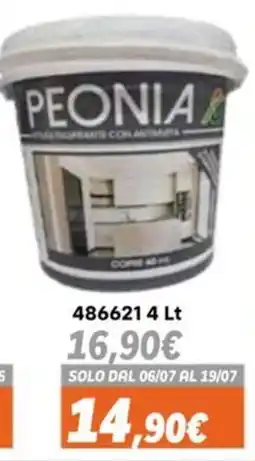 Orizzonte Peonia offerta