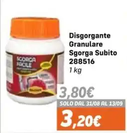 Orizzonte Disgorgante Granulare Sgorga Subito offerta