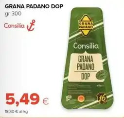 Tigre Amico Consilia Grana Padano DOP offerta