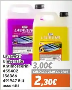 Orizzonte Lavavetri Universale Antimoscerini offerta