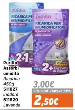 Orizzonte Purilla Assorbì umidità Ricarica offerta