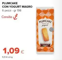 Tigre Amico Plumcake con yogurt magro Consilia offerta