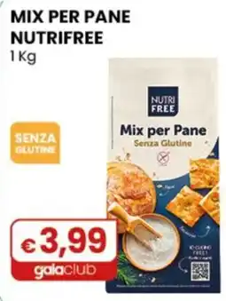 Gala Supermercati Mix per Pane Nutri Free offerta