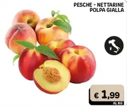 Gala Supermercati Pesche - Nettarine Polpa Gialla offerta
