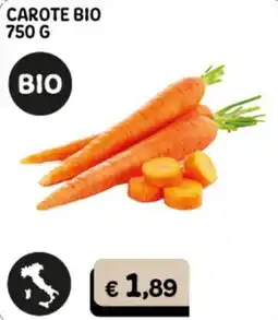 Gala Supermercati Carote bio offerta