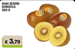 Gala Supermercati Kiwi Zespri Sungold offerta
