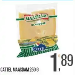 Cash pro Cattel Maasdam offerta